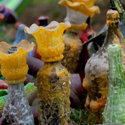 • <a style="font-size:0.8em;" href="http://www.flickr.com/photos/93182493@N07/16908328221/" target="_blank">View on Flickr</a>