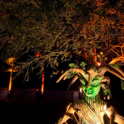 • <a style="font-size:0.8em;" href="http://www.flickr.com/photos/93182493@N07/16909359565/" target="_blank">View on Flickr</a>