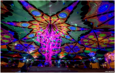 11695741_976019805793977_9077444930573653434_n